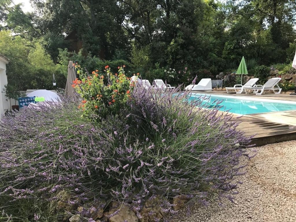 Villa OHA Roquefort-les-Pins Esterno foto
