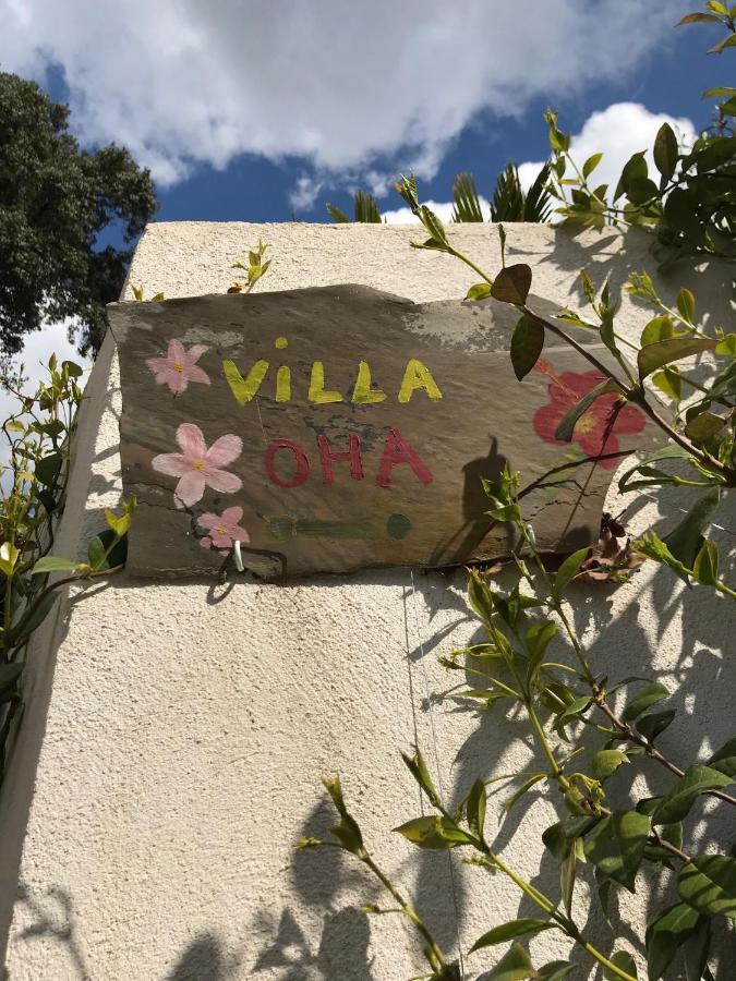 Villa OHA Roquefort-les-Pins Esterno foto